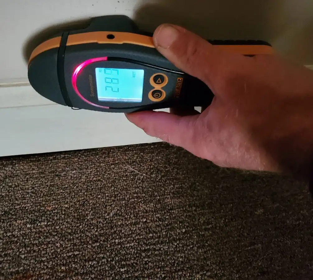 Moisture detection at baseboard during Sewage Cleanup & Sanitation in Waterloo